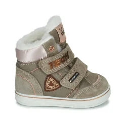 Citrouille et Compagnie - PALADIN