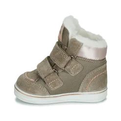 Citrouille et Compagnie - PALADIN