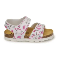 Citrouille et Compagnie - BELLI JOE