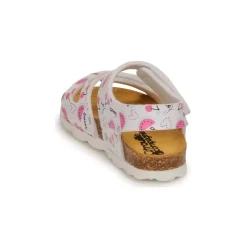 Citrouille et Compagnie - BELLI JOE