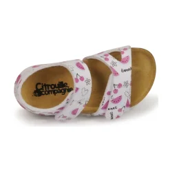 Citrouille et Compagnie - BELLI JOE