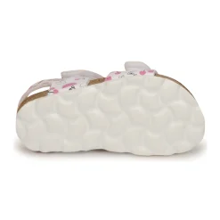 Citrouille et Compagnie - BELLI JOE