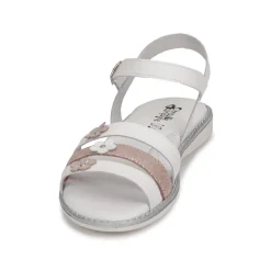 Citrouille et Compagnie - KATAGUE