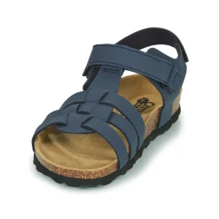 Citrouille et Compagnie - JANISOL