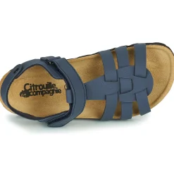 Citrouille et Compagnie - JANISOL