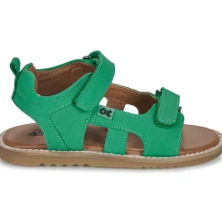 Citrouille et Compagnie - JOUPI