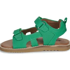 Citrouille et Compagnie - JOUPI