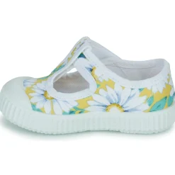 Citrouille et Compagnie - ALUNA