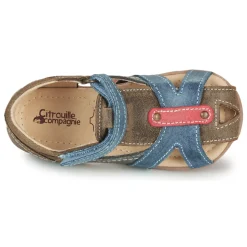 Citrouille et Compagnie - MARIOL Sale