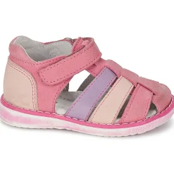 Citrouille et Compagnie - FRINOUI