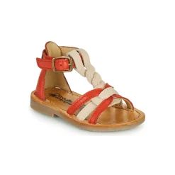 Citrouille et Compagnie - GITANOLO Discount