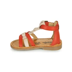 Citrouille et Compagnie - GITANOLO Discount