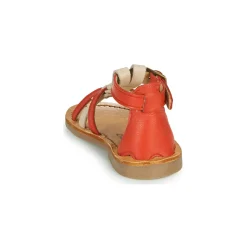 Citrouille et Compagnie - GITANOLO Discount