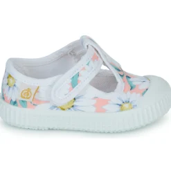 Citrouille et Compagnie - ALUNA