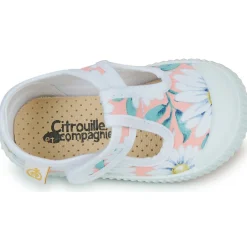 Citrouille et Compagnie - ALUNA