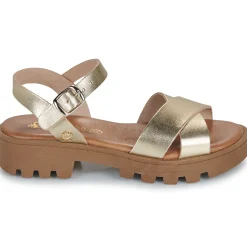 Best Citrouille et Compagnie - LILY Gold