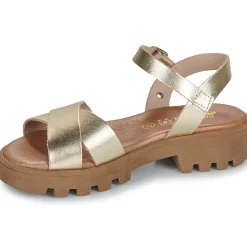 Best Citrouille et Compagnie - LILY Gold