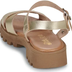 Best Citrouille et Compagnie - LILY Gold