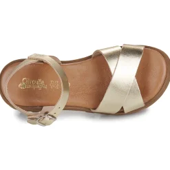 Best Citrouille et Compagnie - LILY Gold