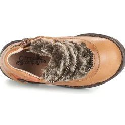 Citrouille et Compagnie - JODILAEM Cognac