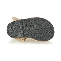 Best Citrouille et Compagnie - SQUOUBEL Doré