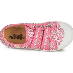 Citrouille et Compagnie - GLASSIA