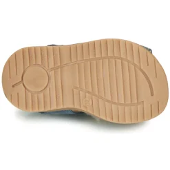 Citrouille et Compagnie - MARINO Marine Best