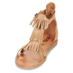 Citrouille et Compagnie - GAMELA