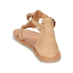 Citrouille et Compagnie - GAMELA