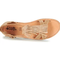 Citrouille et Compagnie - GAMELA