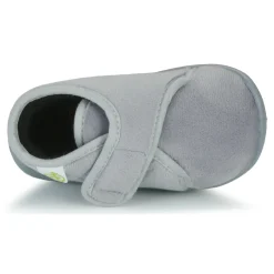 Citrouille et Compagnie - HALI Gris