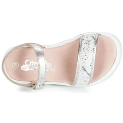 Citrouille et Compagnie - JIMINITE