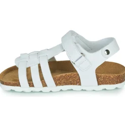 Citrouille et Compagnie - JANISOL