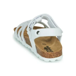 Citrouille et Compagnie - JANISOL