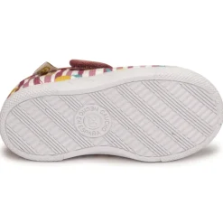 Citrouille et Compagnie - APSUT