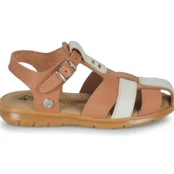 Citrouille et Compagnie - COCOLA