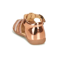 Citrouille et Compagnie - RINE Rosemétallisé