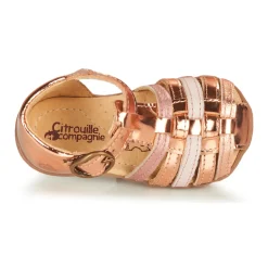 Citrouille et Compagnie - RINE Rosemétallisé