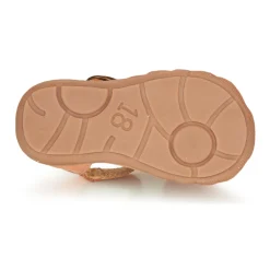 Citrouille et Compagnie - RINE Rosemétallisé