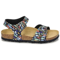 Citrouille et Compagnie - RELUNE