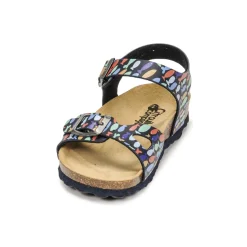 Citrouille et Compagnie - RELUNE