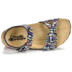 Citrouille et Compagnie - RELUNE