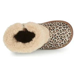 Citrouille et Compagnie - LILIFA Online