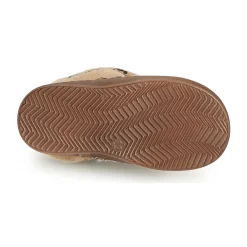 Citrouille et Compagnie - LILIFA Online