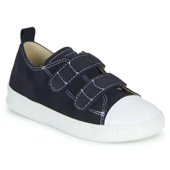 Citrouille et Compagnie - NADIR