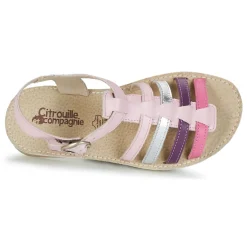 Citrouille et Compagnie - RAINA