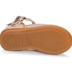 Citrouille et Compagnie - JARITO