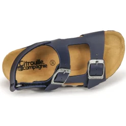 Clearance Citrouille et Compagnie - KELATU Marinefoncé