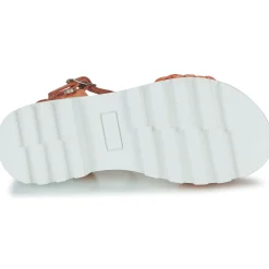 Clearance Citrouille et Compagnie - NASAKO Orange