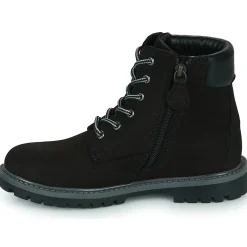 Citrouille et Compagnie - PACITO Noir